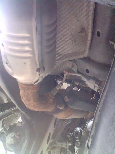 IMG0752A.jpg