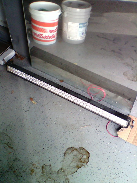 IMG0799A.jpg