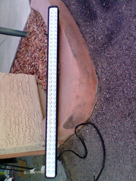 IMG0830A.jpg