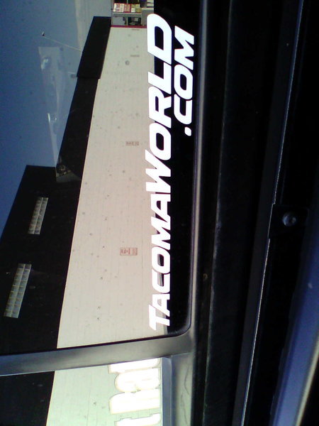 IMG0959A.jpg