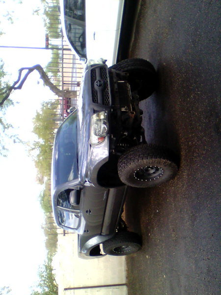 IMG1036A.jpg