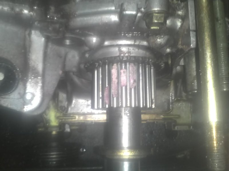 IMG113.jpg