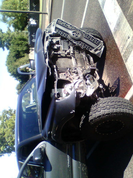 IMG1231A.jpg