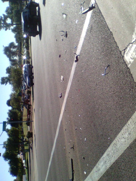 IMG1233A.jpg