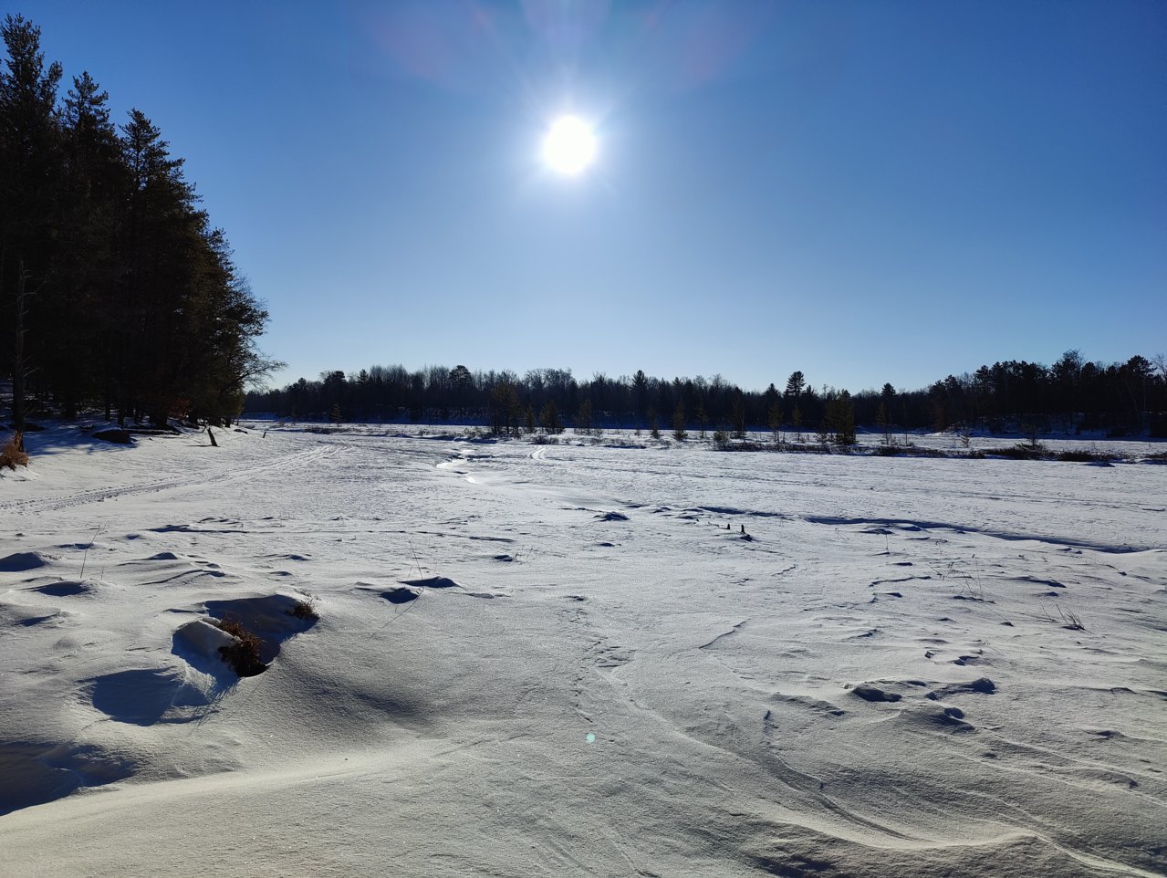 IMG20220203093827.jpg