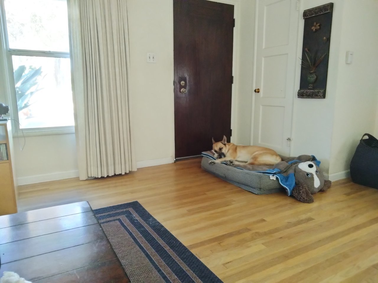 IMG20221106091321.jpg