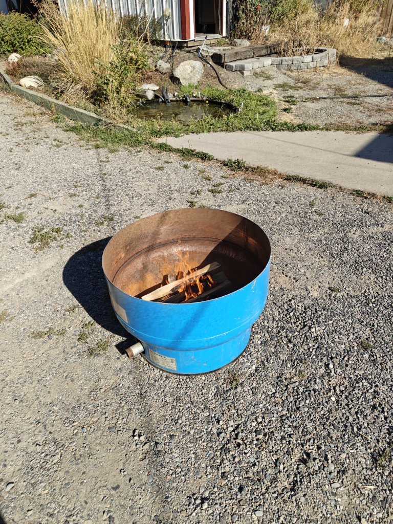 IMG20241013132312.jpg