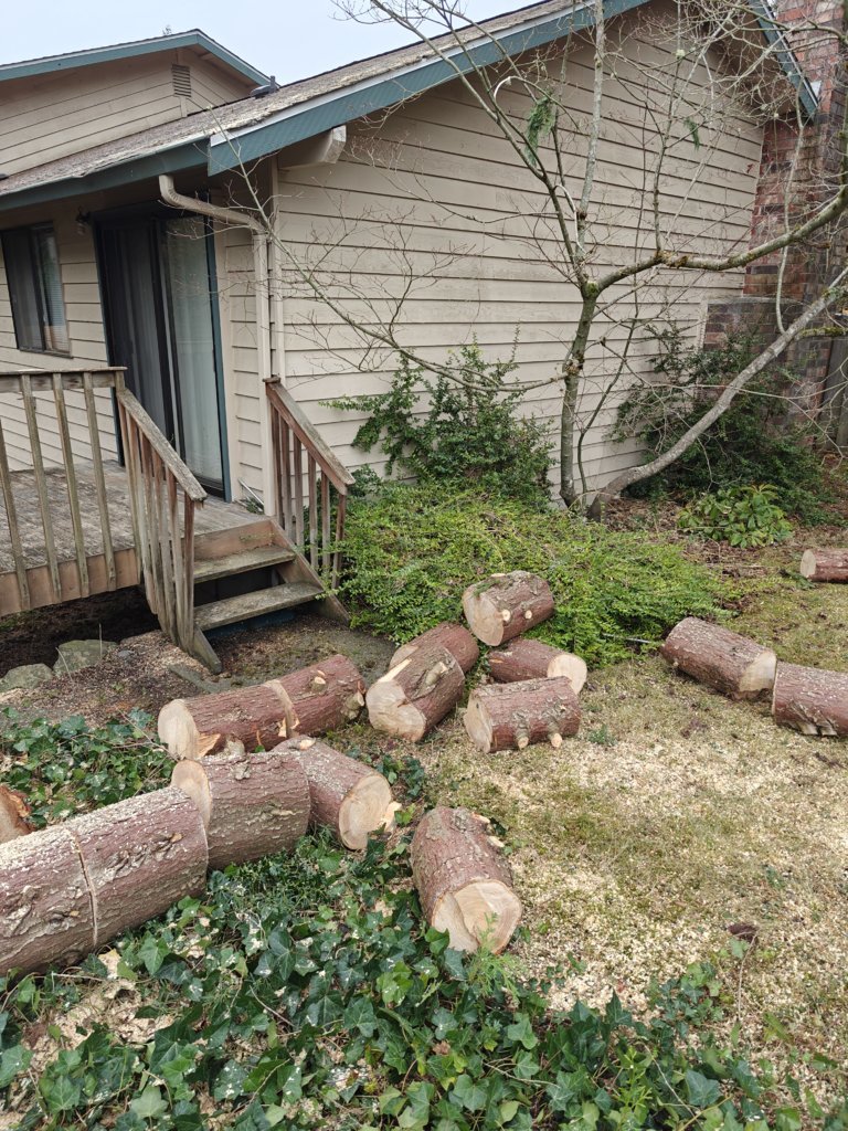 IMG20241121130011.jpg