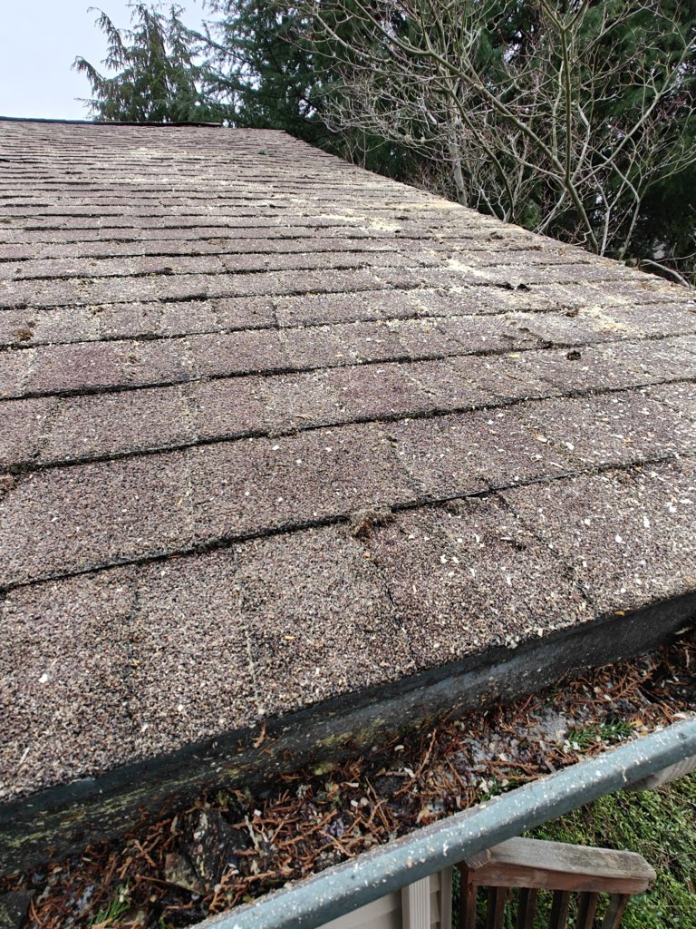IMG20241121144841.jpg