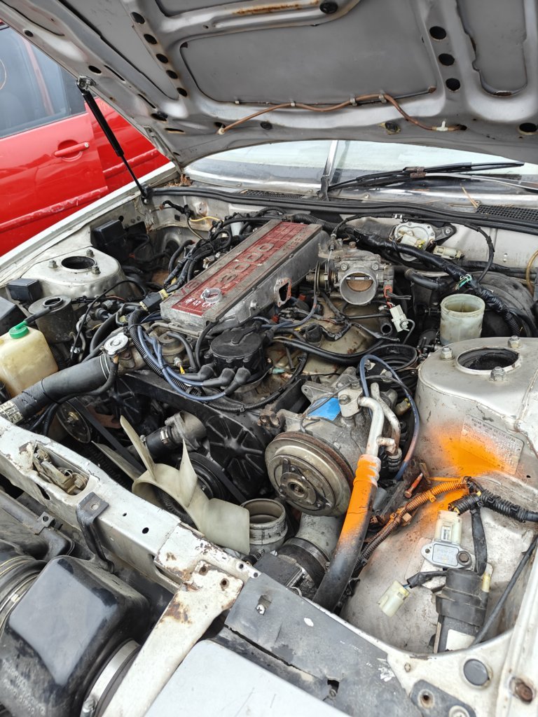 IMG20241213151226.jpg