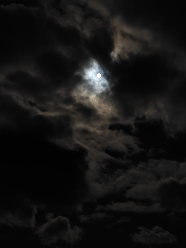 IMG20250314044642.jpg
