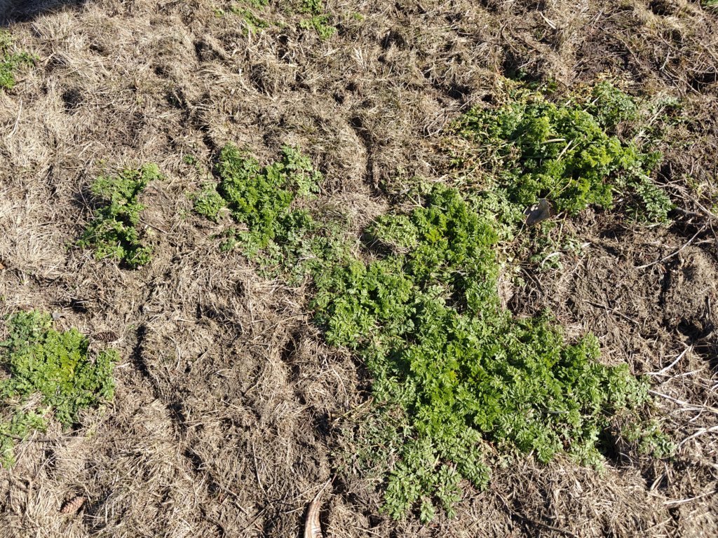IMG20250319150610.jpg