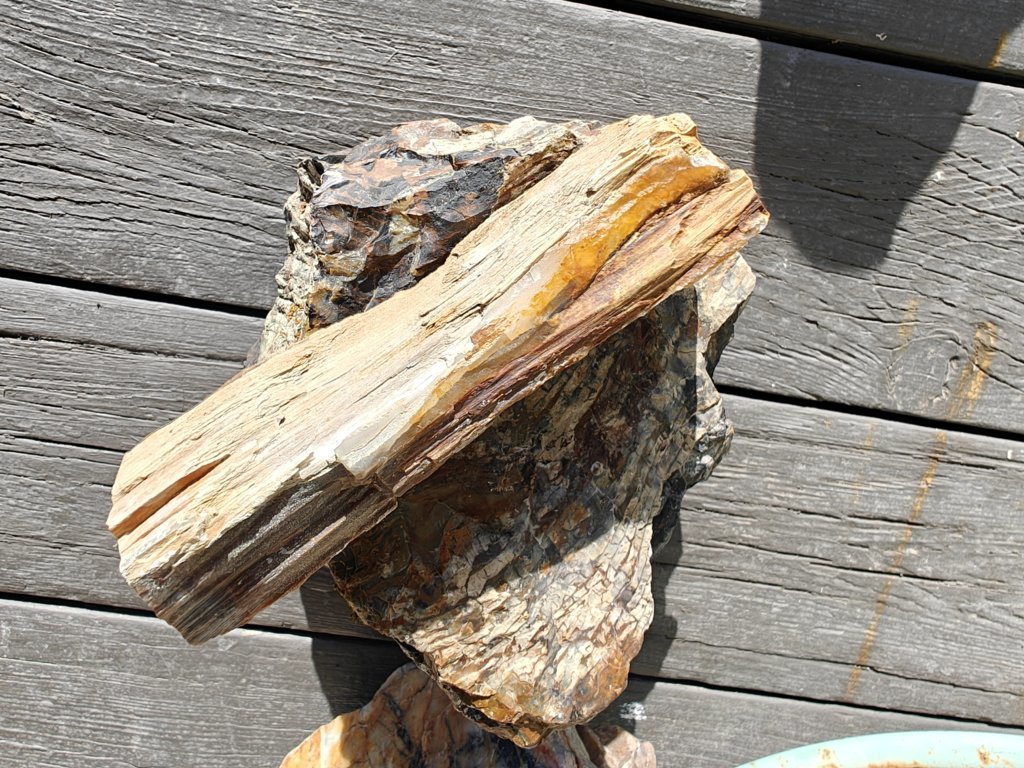 IMG20250414181102.jpg