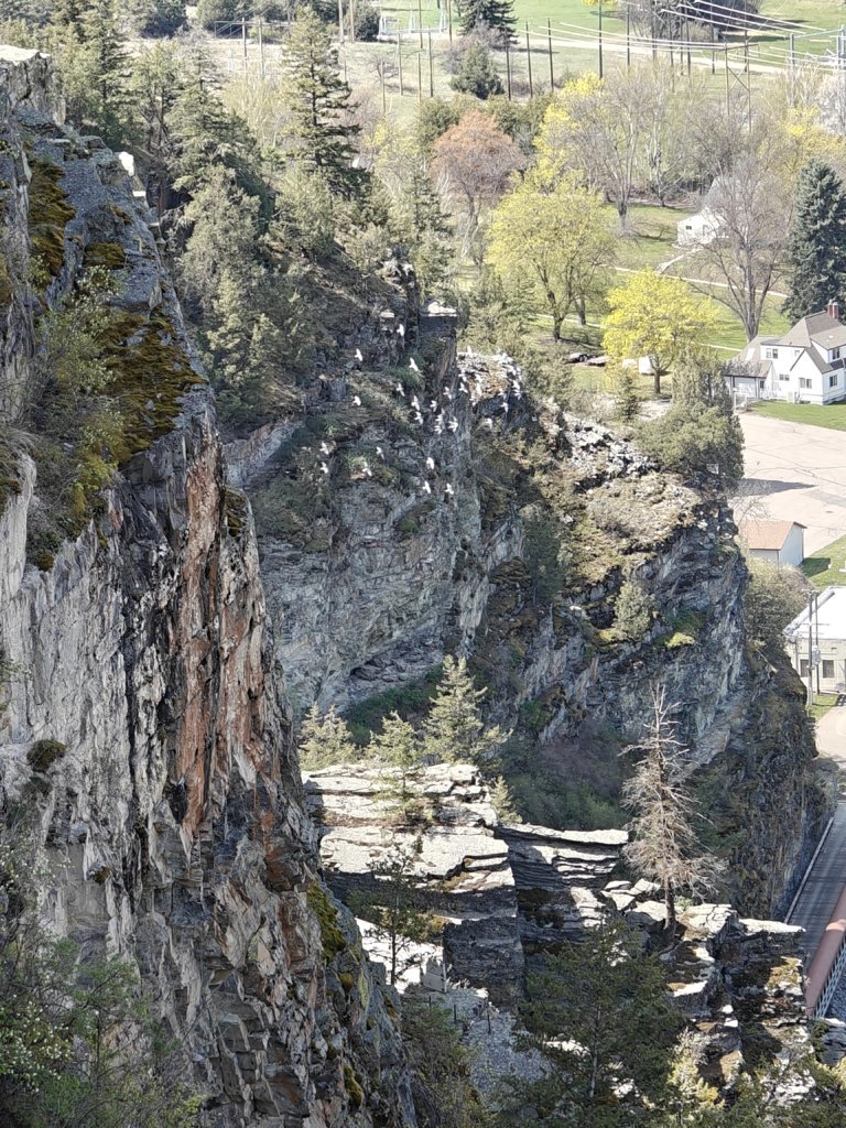 IMG20250427130612.jpg