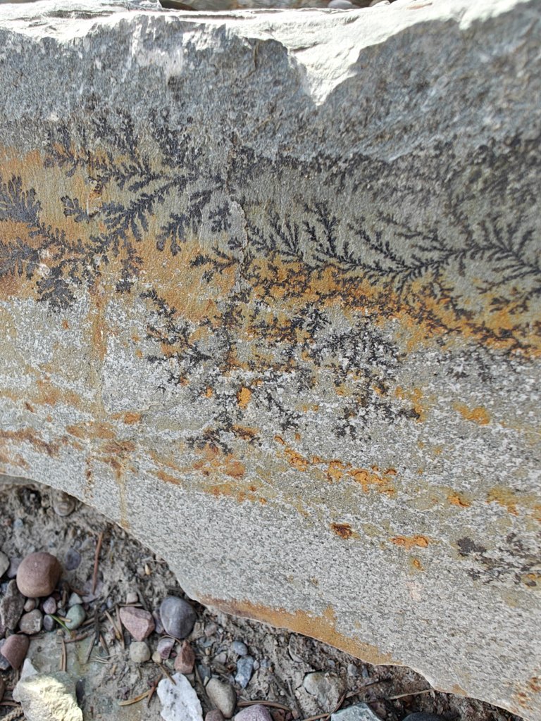 IMG20250427131918.jpg