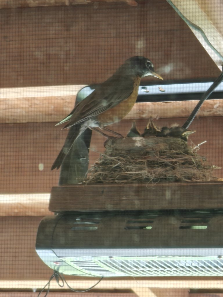 IMG20250528100924.jpg