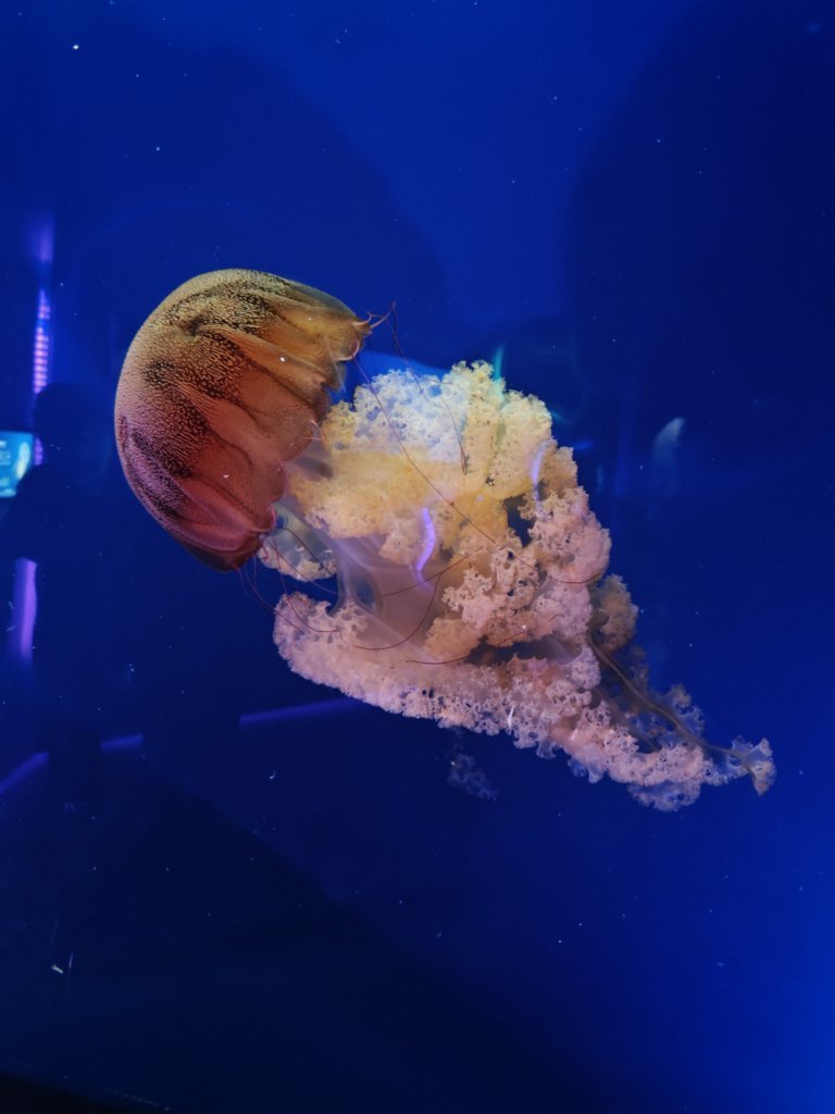 IMG20250711141336.jpg