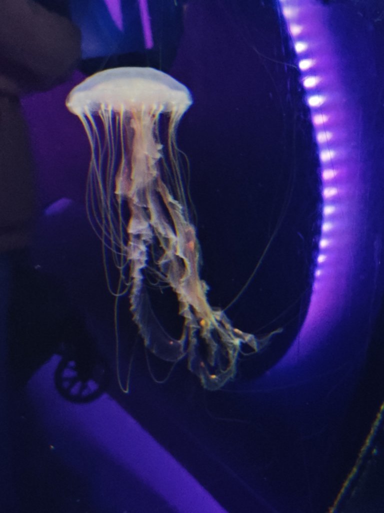 IMG20250711141454.jpg