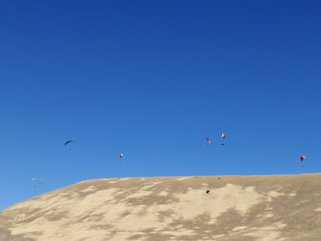 IMG20250712090742.jpg