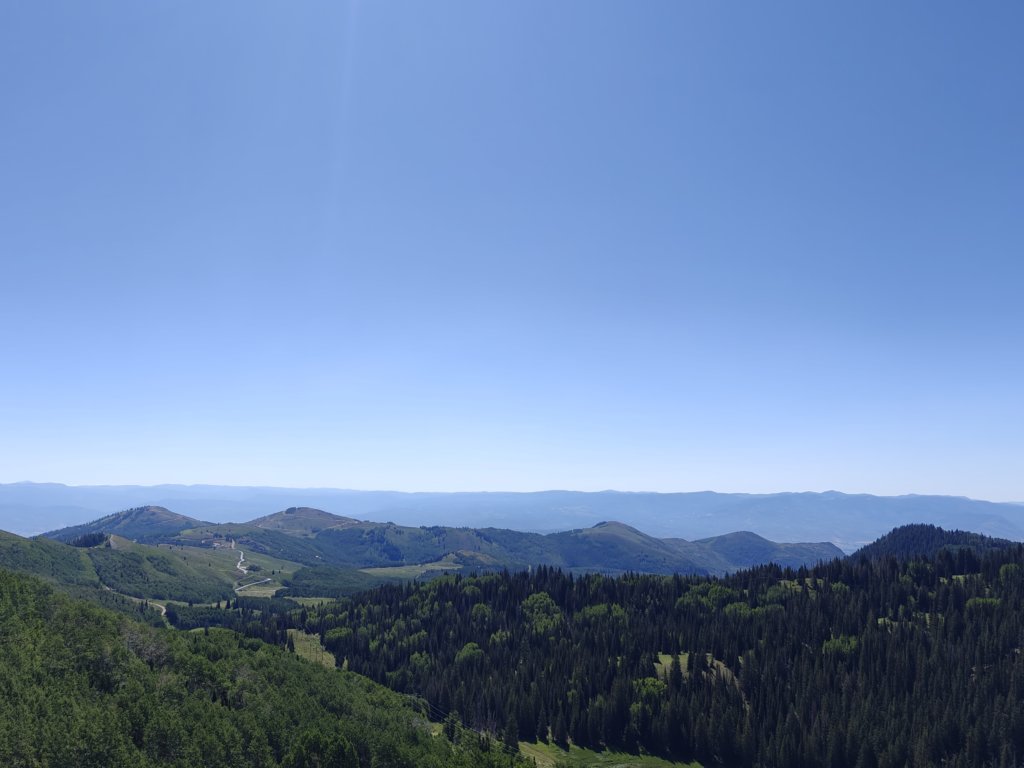 IMG20250712102046.jpg