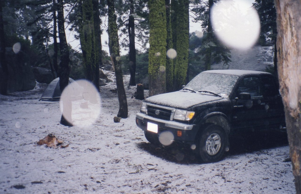 img277.jpg