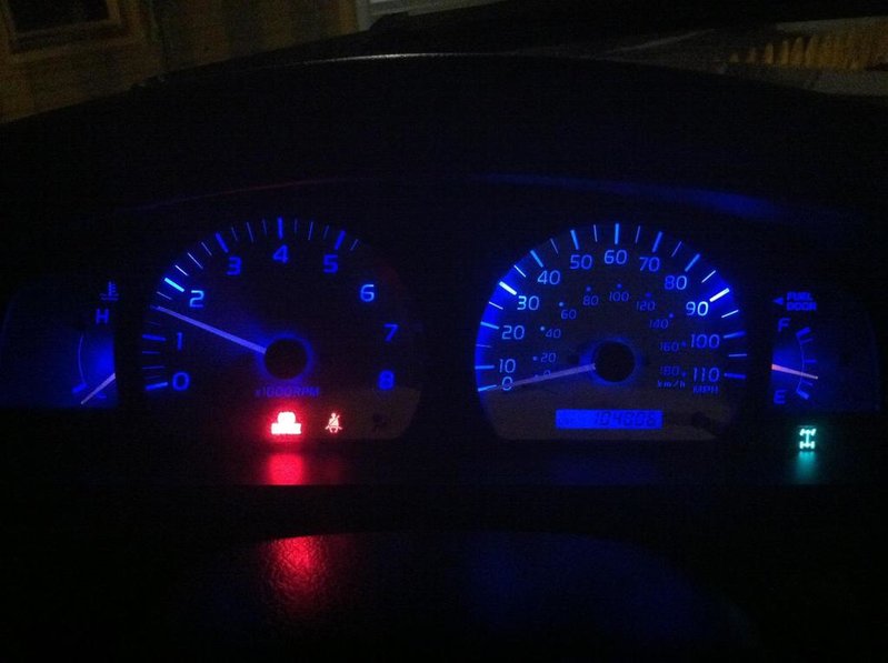 IMG950256.jpg