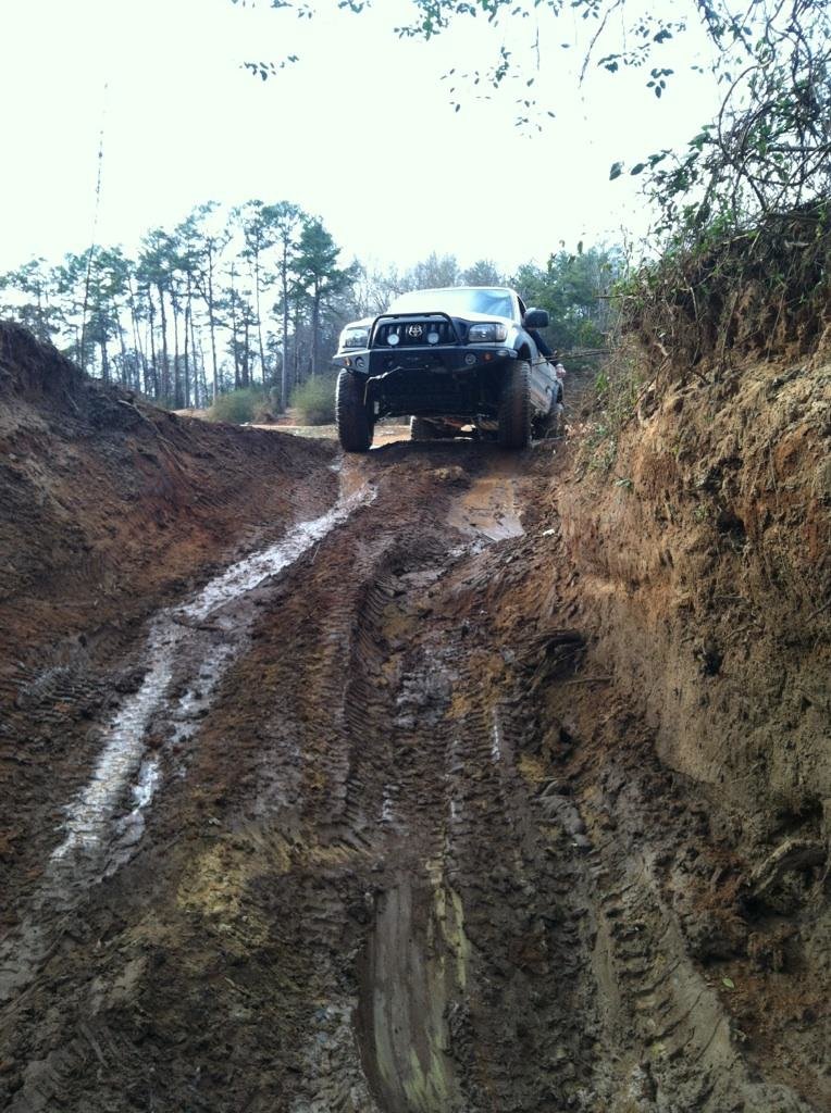 IMG952662_3881780f24f12f011bd4ffe896d464b5548810d4.jpg