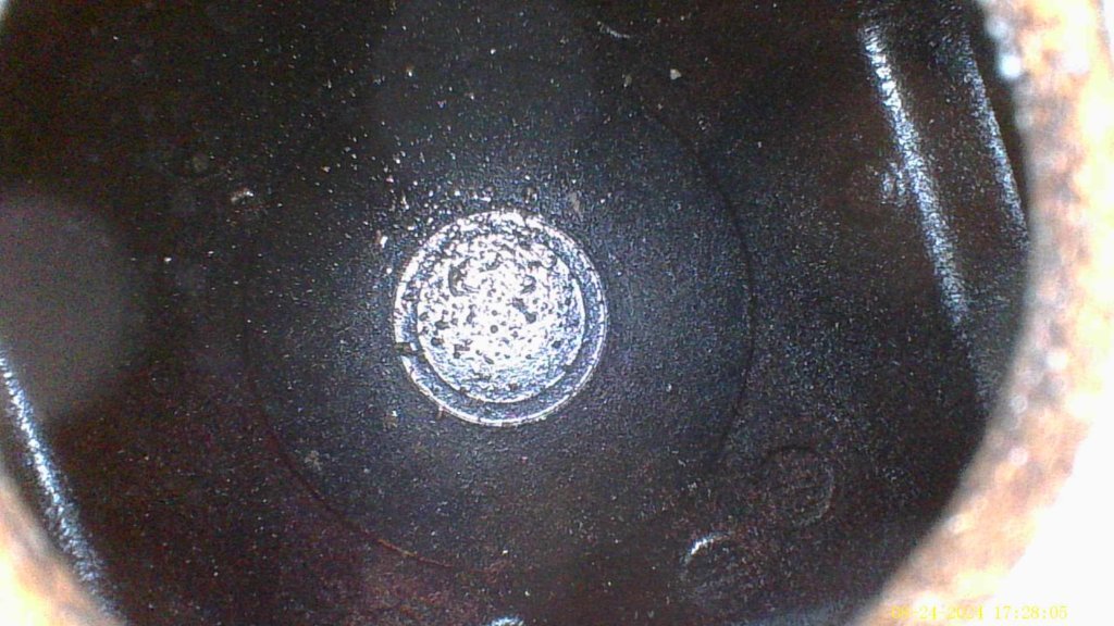 IMG_0005.jpg