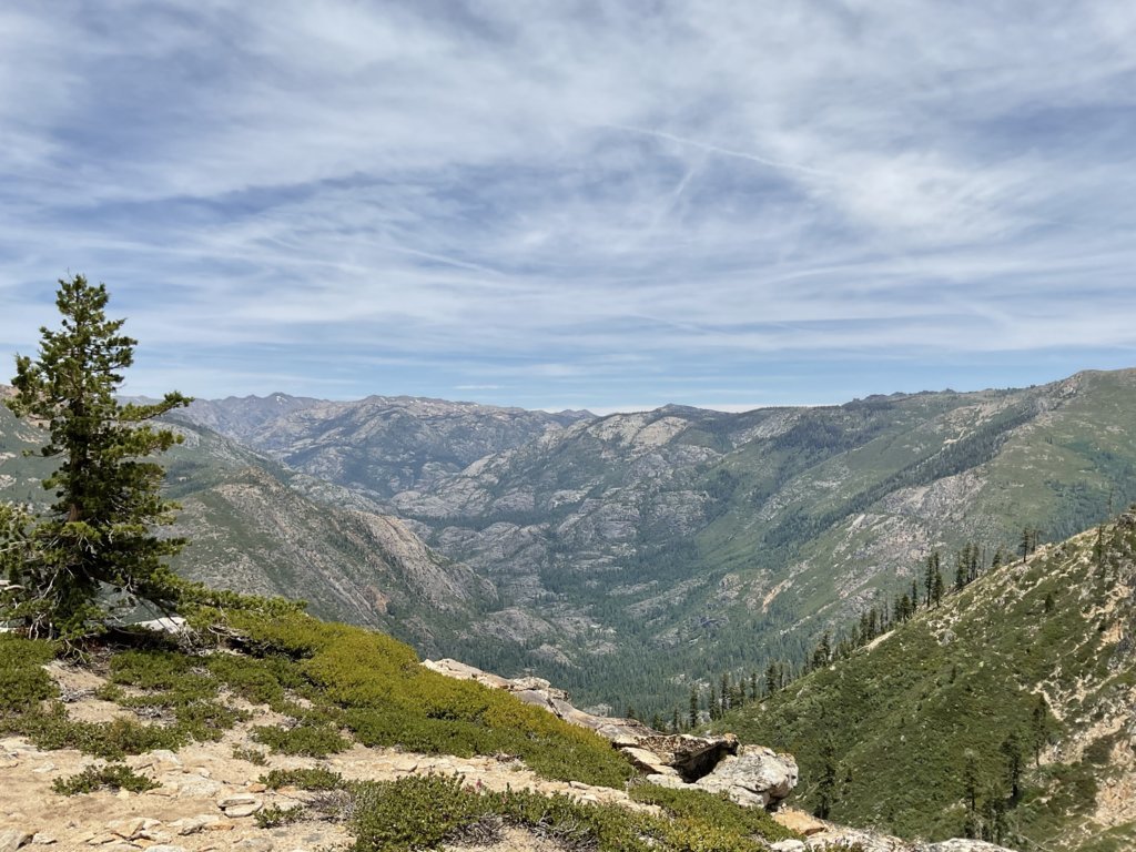 IMG_0015.jpg