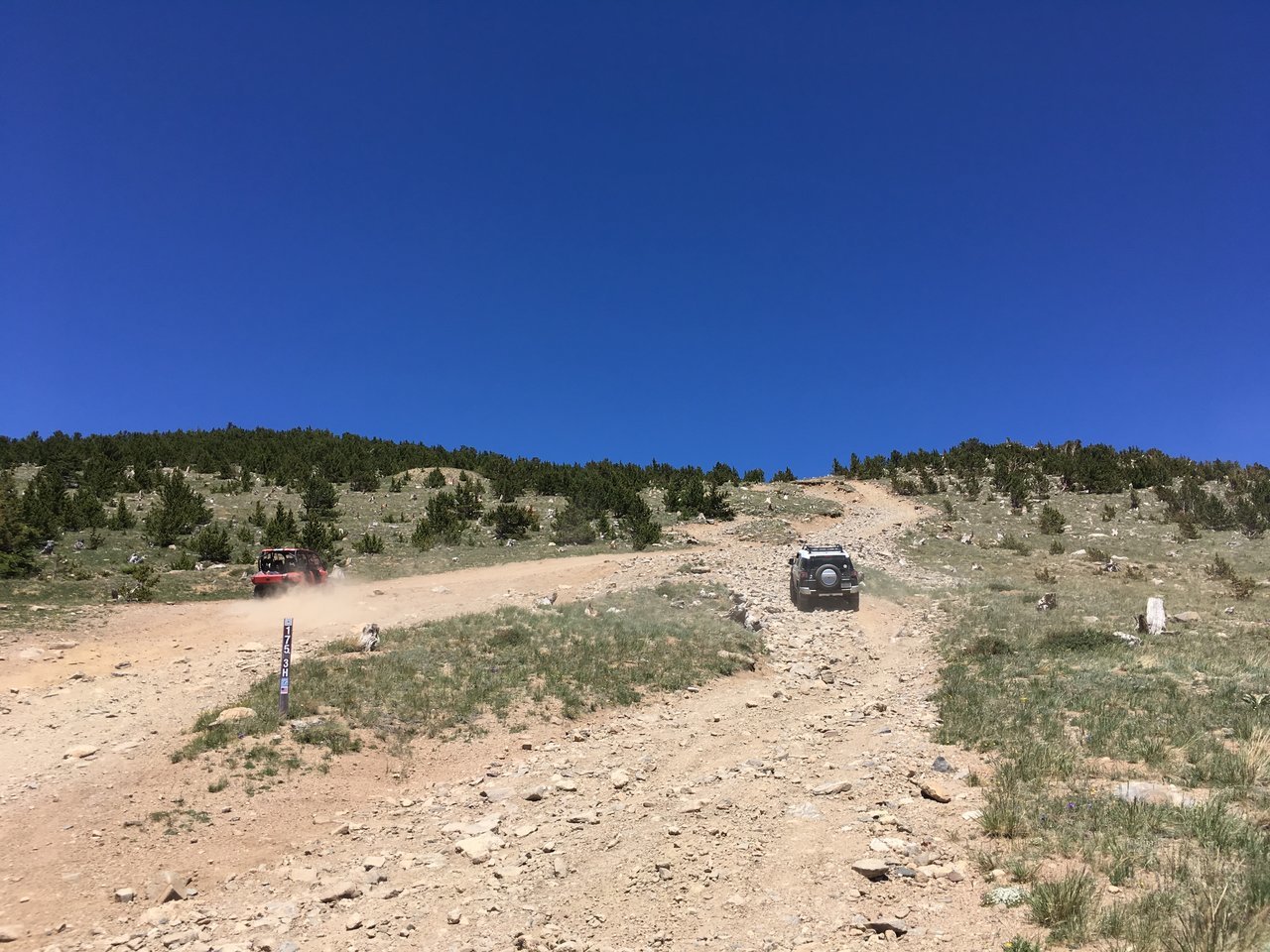 IMG_0021.jpg