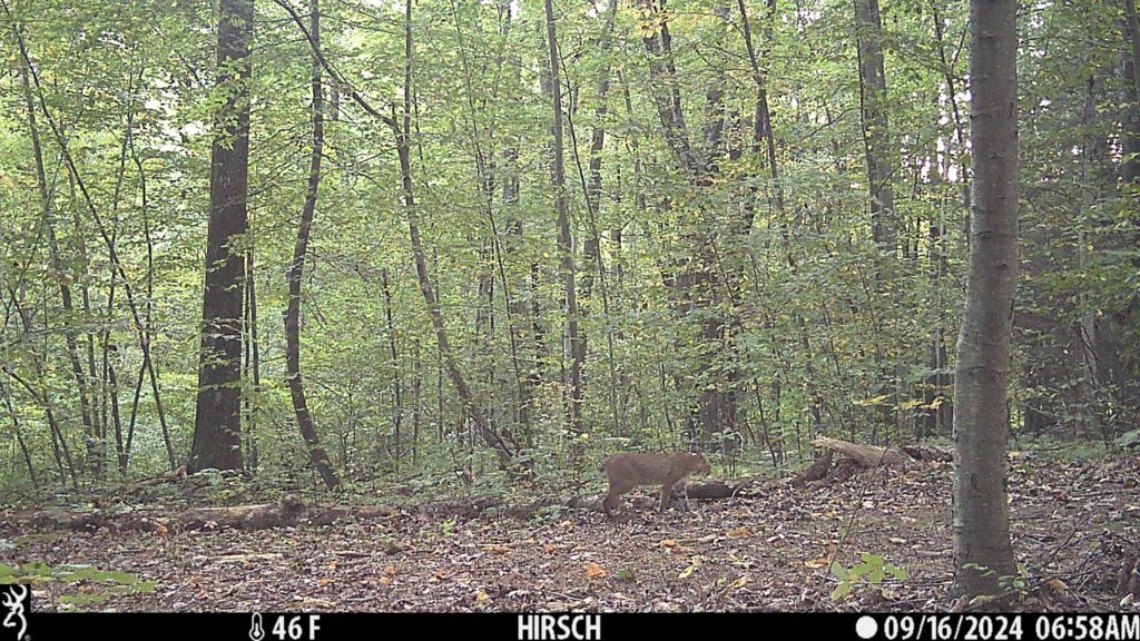 IMG_0024-1.jpg