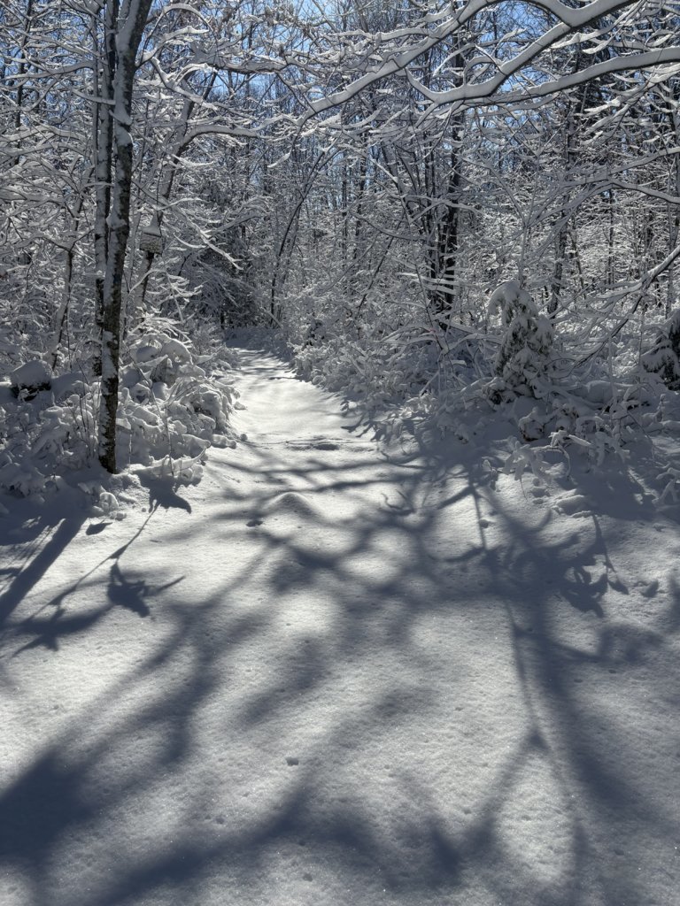 IMG_0024.jpg