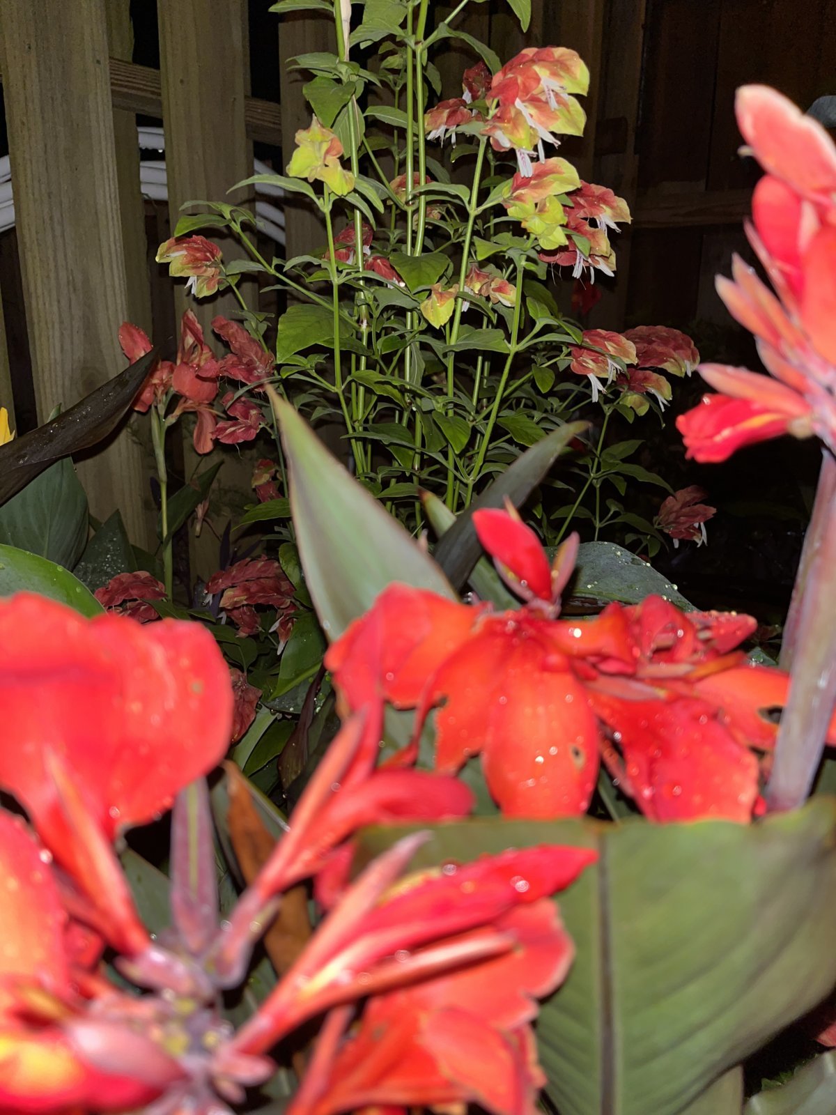 IMG_0032.jpg