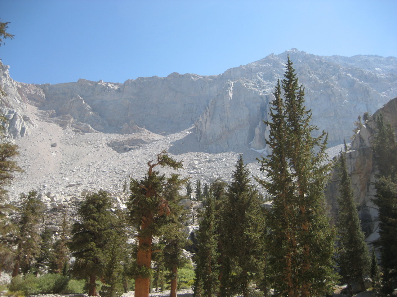 IMG_0036.jpg