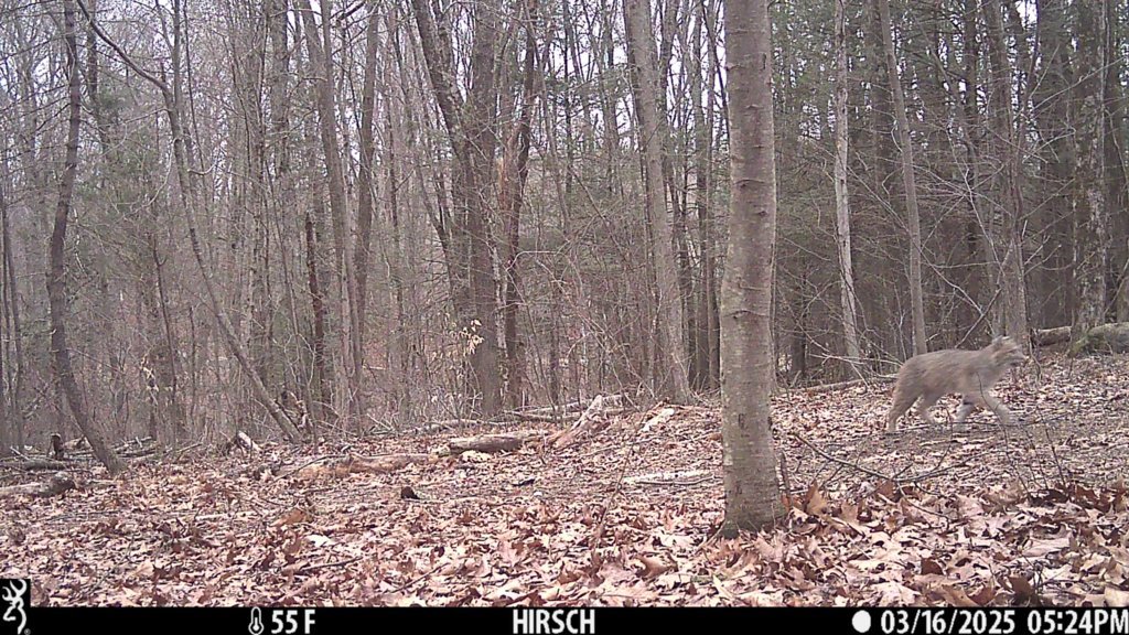 IMG_0039.jpg