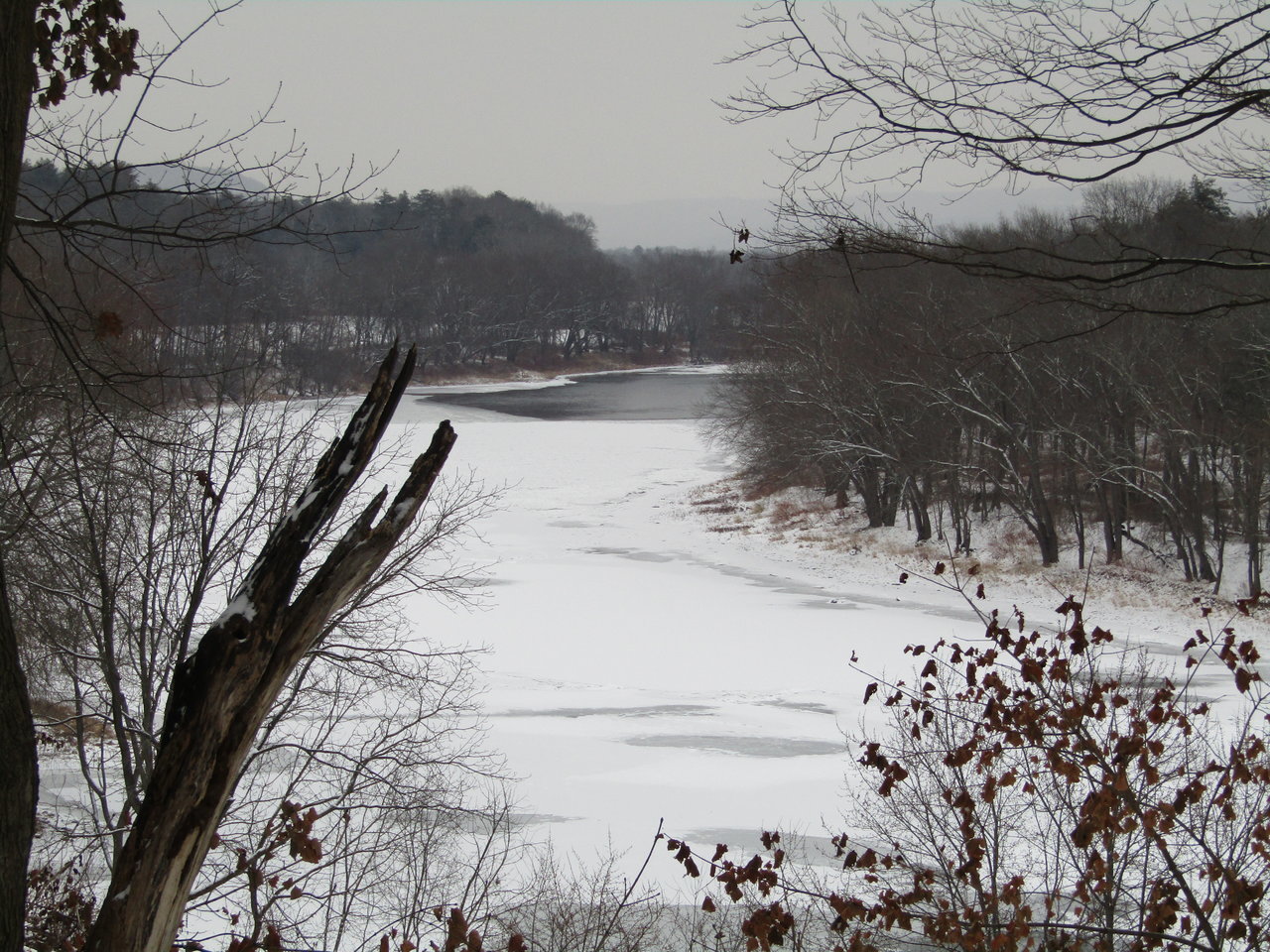 IMG_0076.jpg