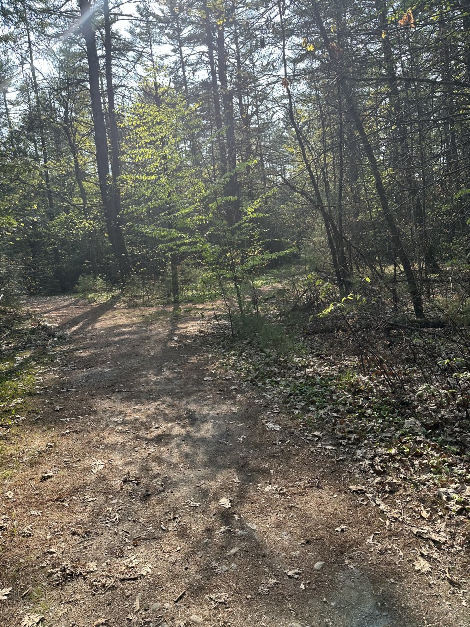 IMG_0078.jpg