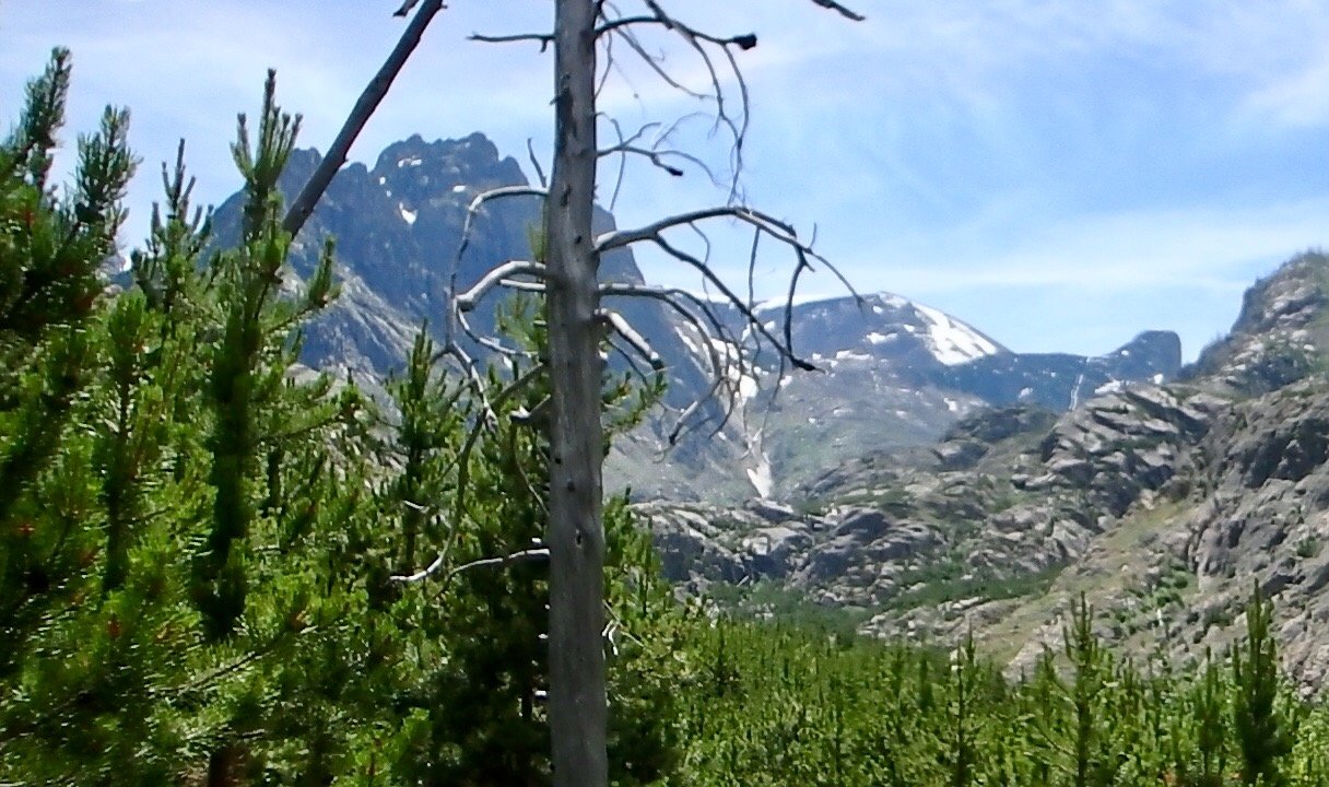 IMG_0080.jpg