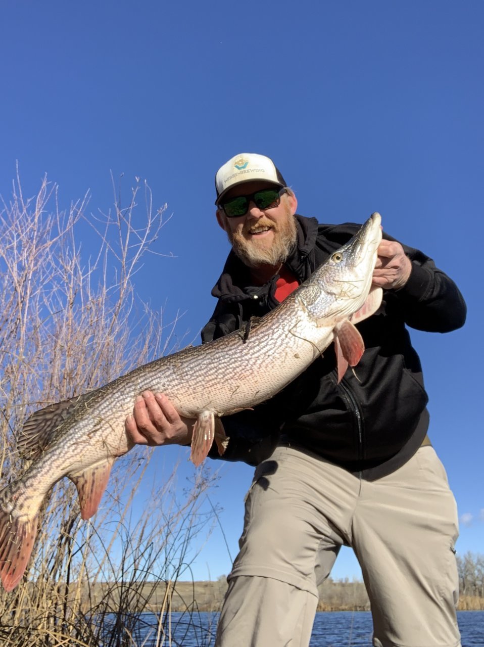 Best Jerkbaits?  Colorado Fisherman Forum