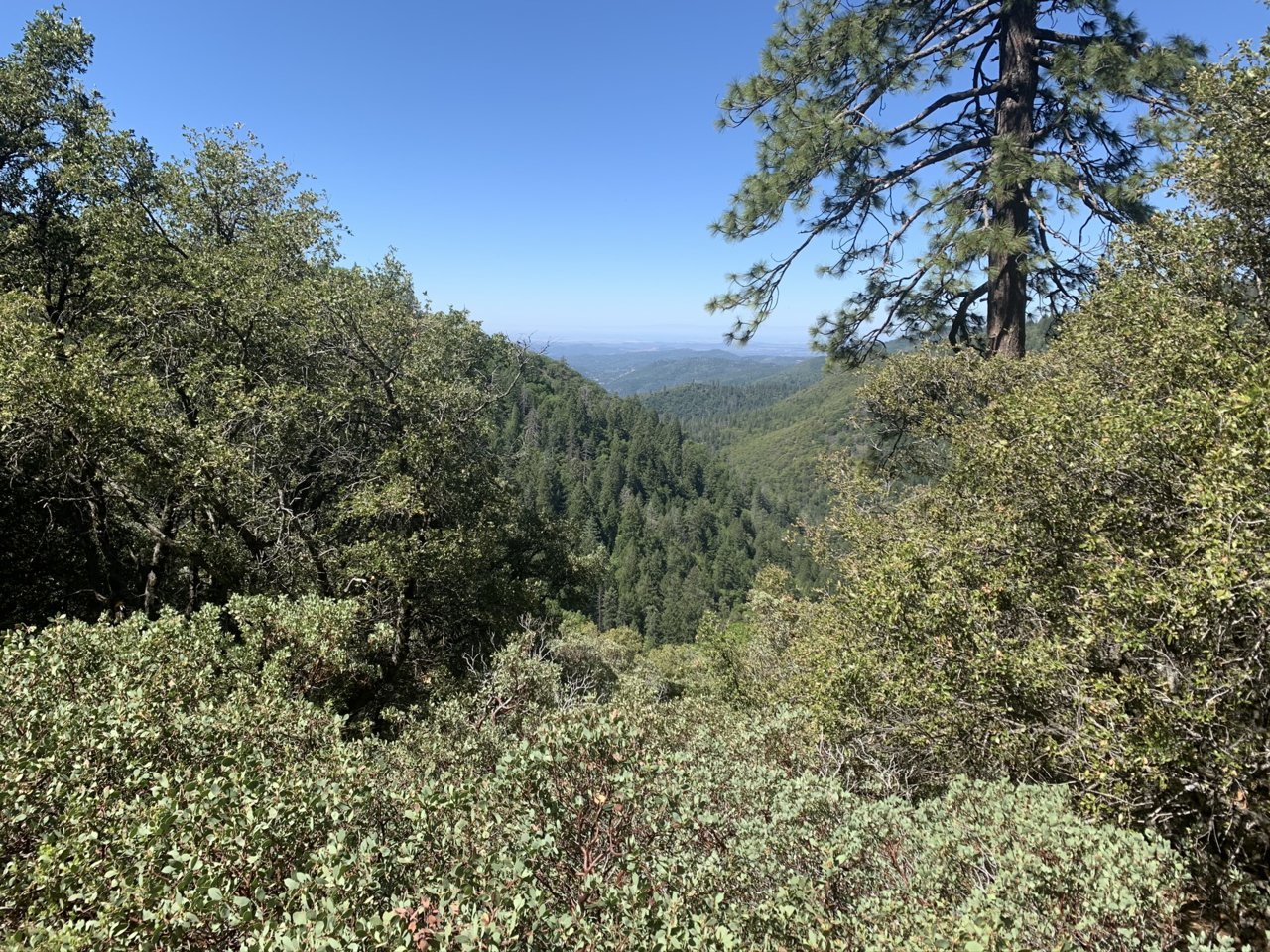 IMG_0110.jpeg.jpg