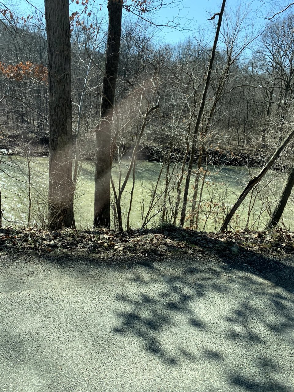 IMG_0140.jpg
