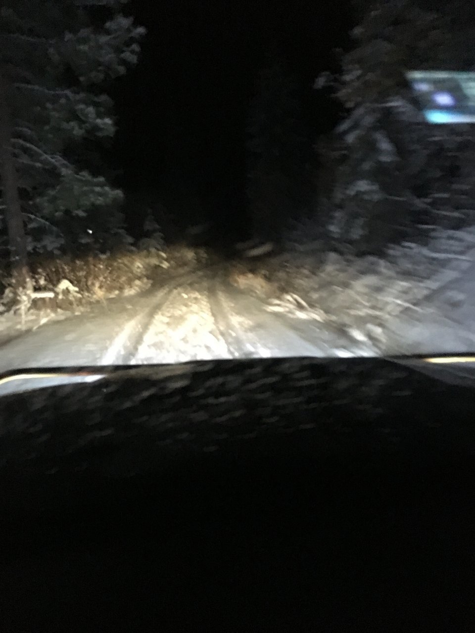 IMG_0141.jpg