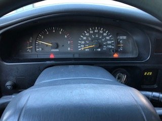 IMG_0146.jpg