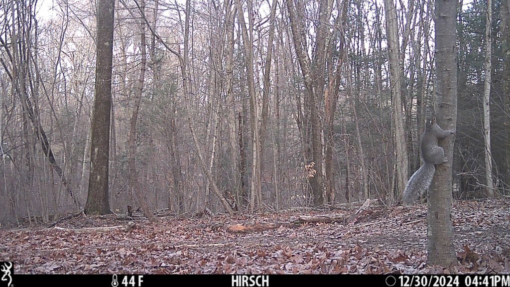 IMG_0149.jpg