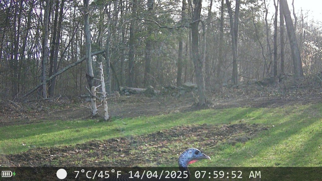 IMG_0149.jpg