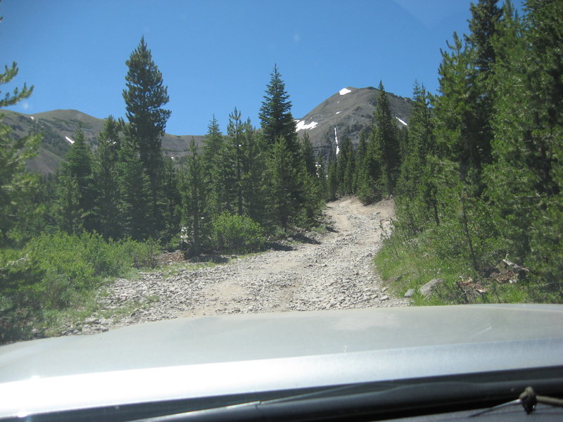 IMG_0153.jpg