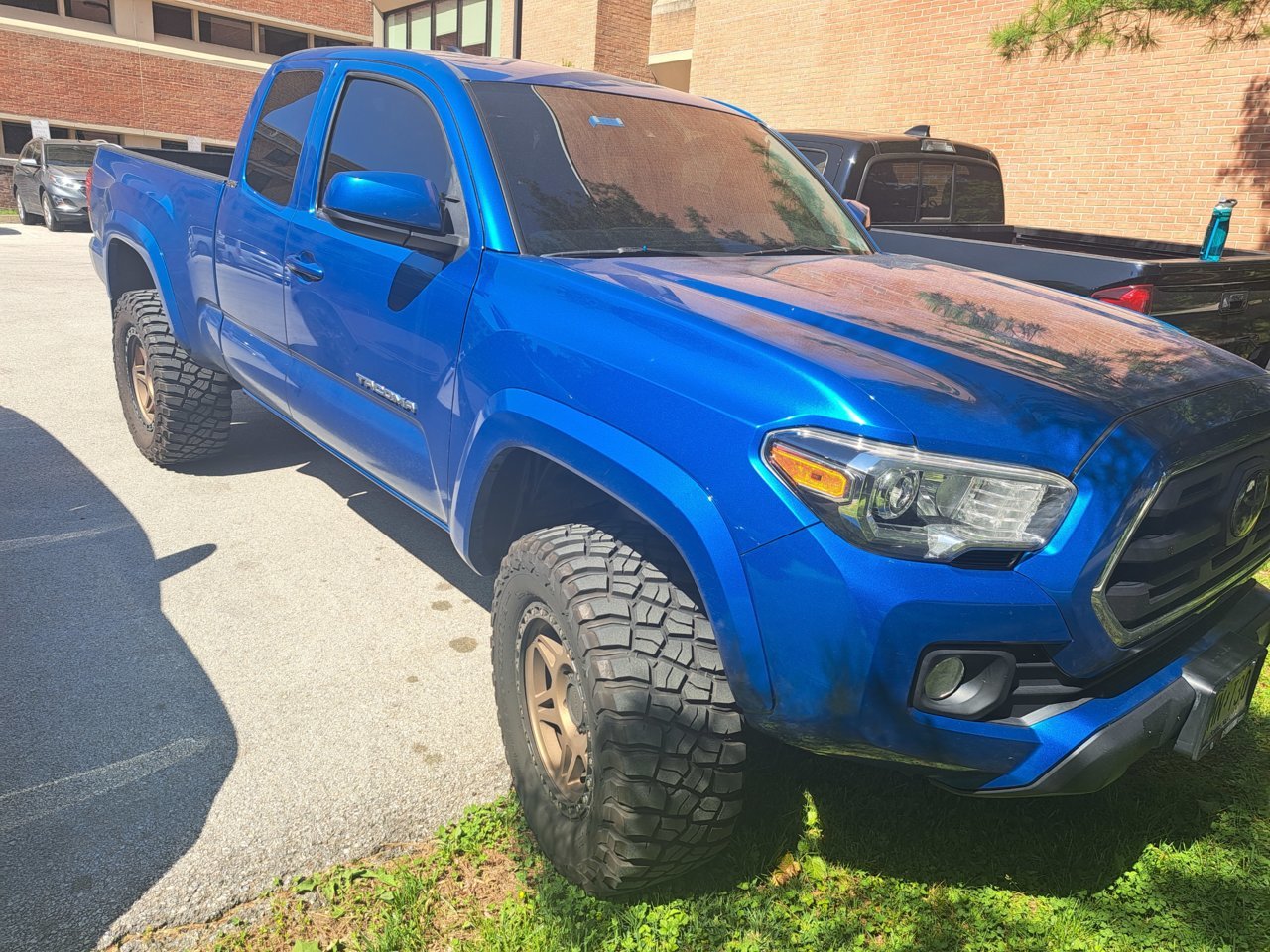 ColorBond (119) Ford Black LVP Leather, Vinyl & Hard Plastic