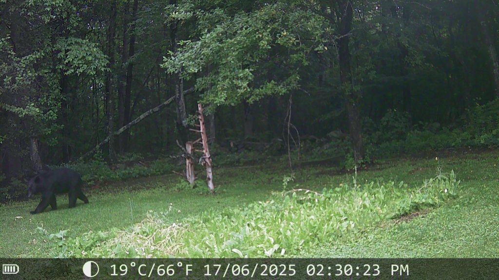 IMG_0156.jpg