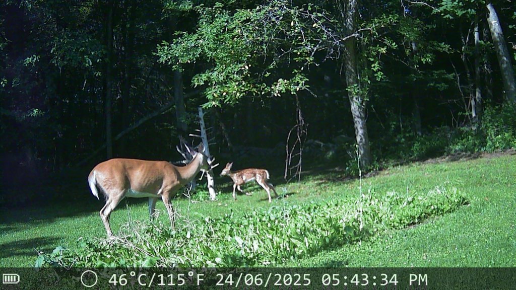 IMG_0157.jpg