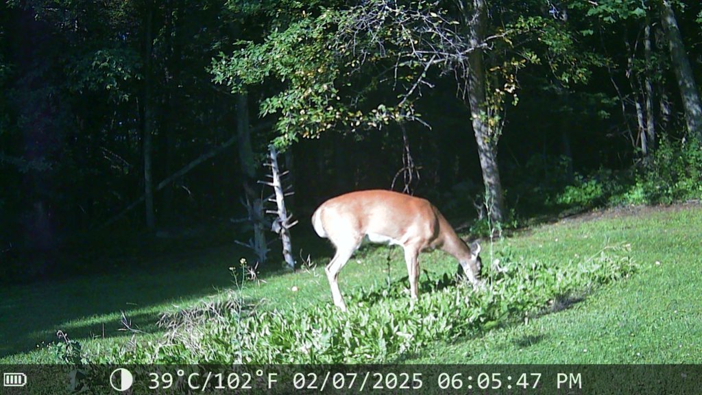 IMG_0160.jpg